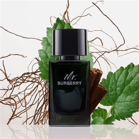 profumeria limoni mr burberry|mr burberry eau de parfum.